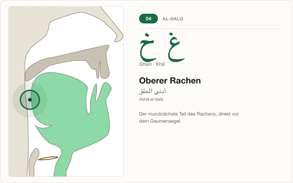 Makhraj Nr. 4: Oberer Rachen – Querschnitt mit markierter Stelle für Ghain und Khāʾ