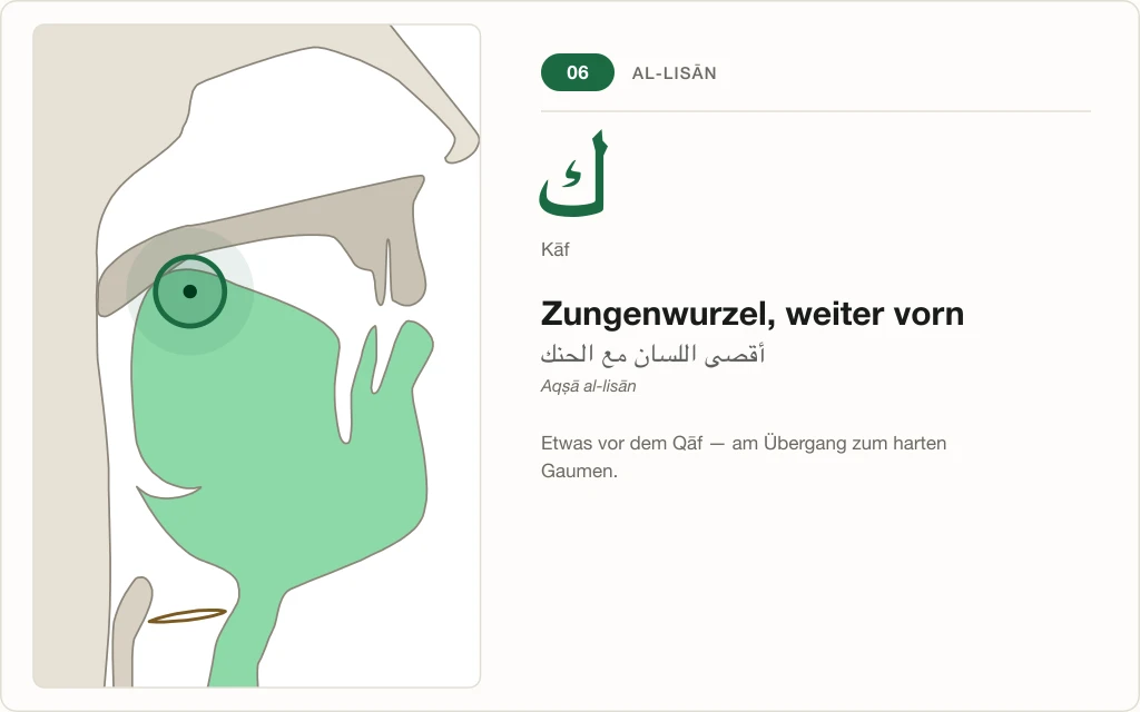 Makhraj Nr. 6: Zungenwurzel weiter vorn – Querschnitt mit markierter Stelle für Kāf