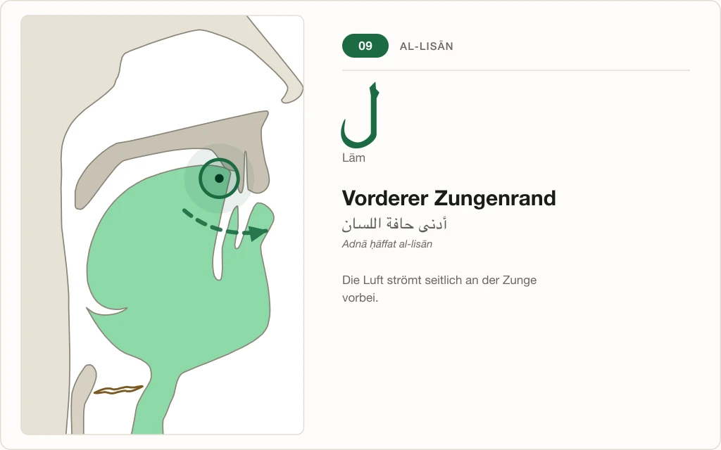 Makhraj Nr. 9: Vorderer Zungenrand – Querschnitt mit seitlichem Luftstrom für Lām